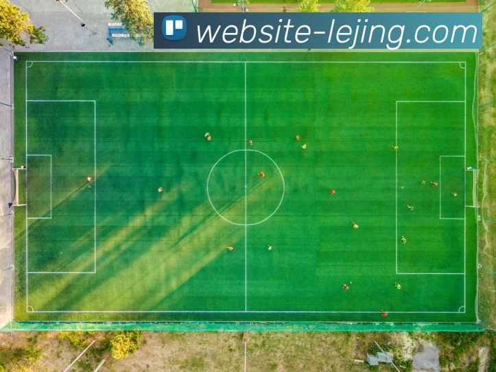 App Interface Preview